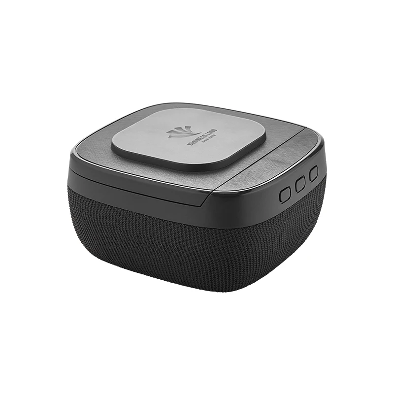 4250 Wireless Şarj & Hoparlör